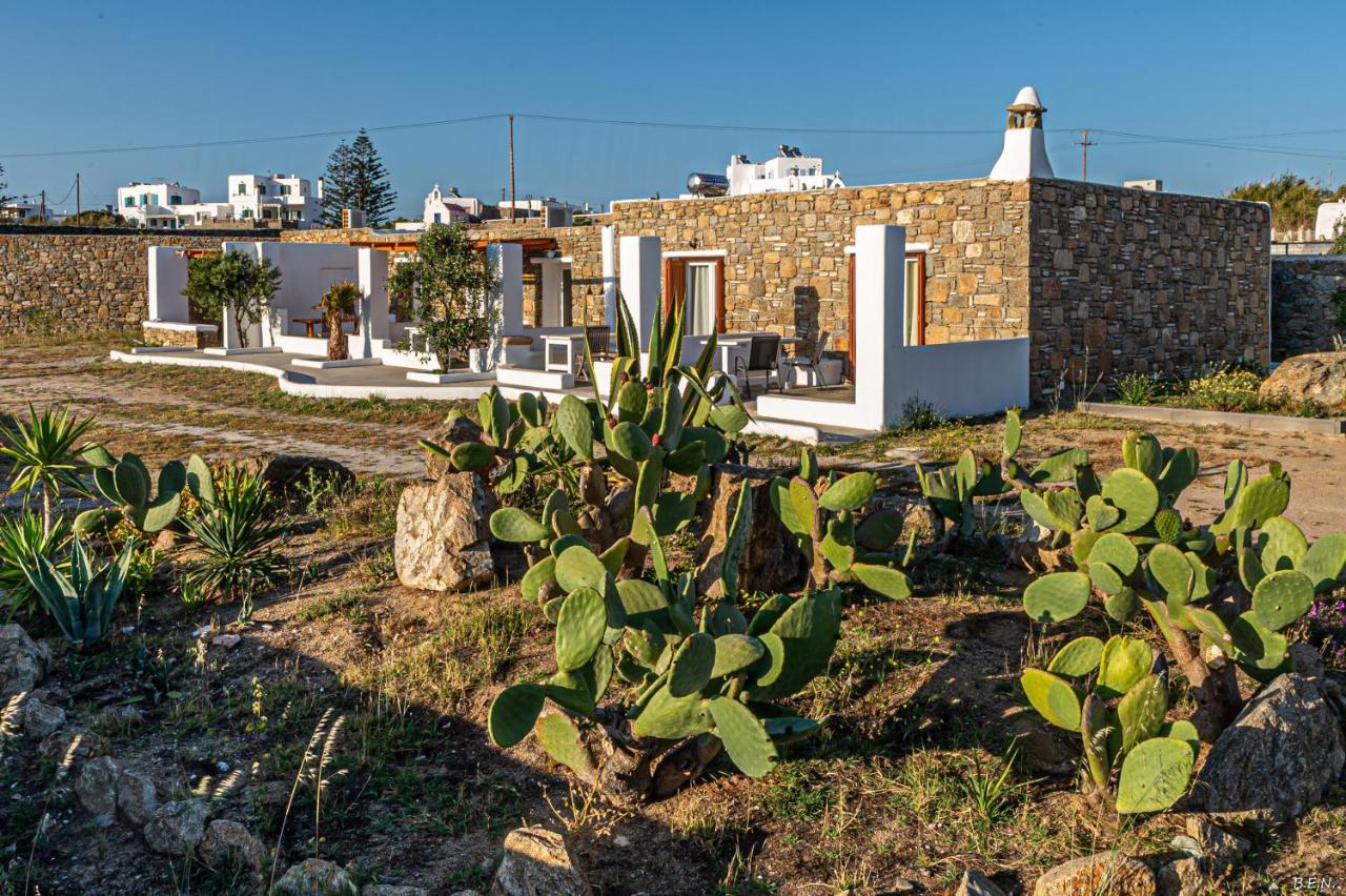 Katerina View Otel Mykonos Town Dış mekan fotoğraf